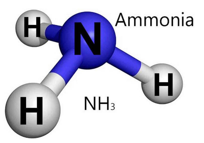 Ammonia là gì? Những kiến thức cần biết