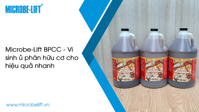 Chế phẩm ủ rác hữu cơ hiệu quả nhanh, ưa chuộng hiện nay