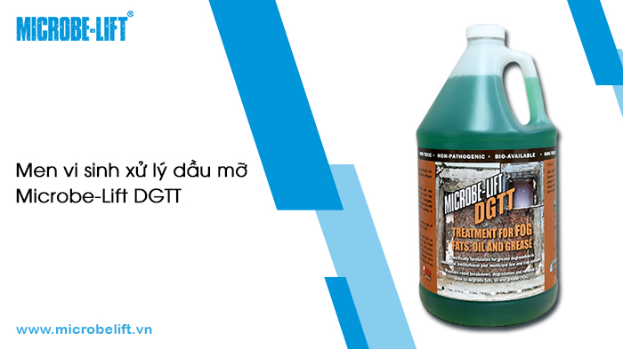 Tại sao không nên đổ dầu xuống cống?