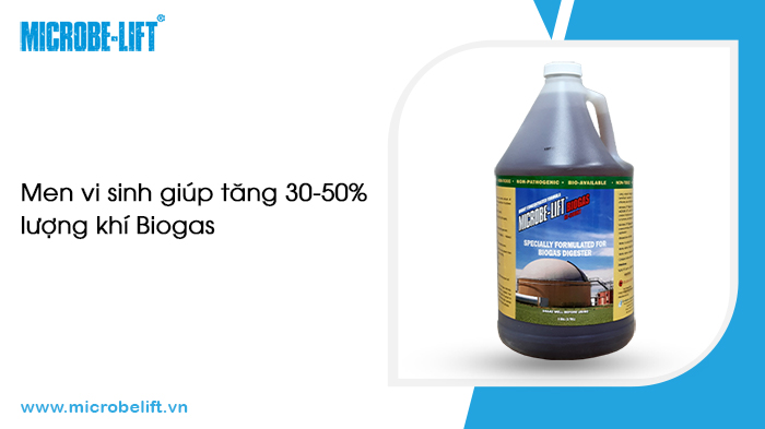 Phản ứng đặc trưng của Metan là gì?