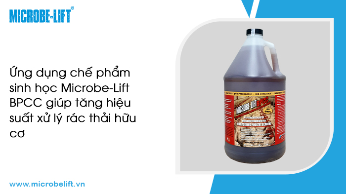 Xử lý rác thải bằng phương pháp sinh học