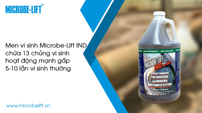 Châm vi sinh đúng cách để tăng hiệu quả xử lý nước thải