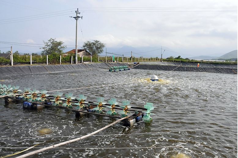 Đặc điểm & tính chất của nước nuôi thủy sản