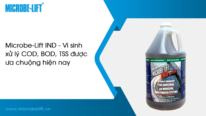 Mua vi sinh xử lý nước thải ở đâu chất lượng tốt?