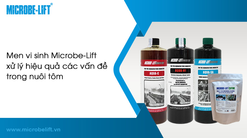 Làm thế nào để phòng bệnh cho tôm?