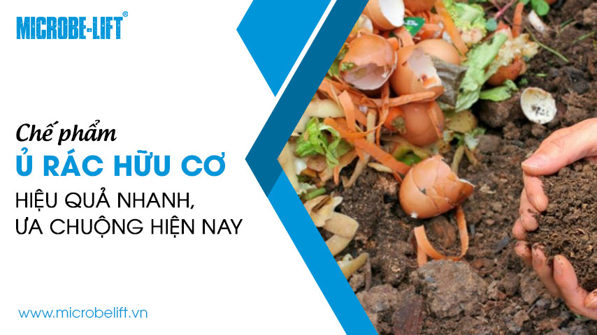 Chế phẩm ủ rác hữu cơ hiệu quả nhanh, ưa chuộng hiện nay