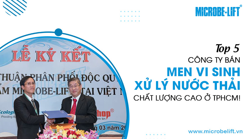 Top 5 công ty bán men vi sinh xử lý nước thải chất lượng cao ở TPHCM!