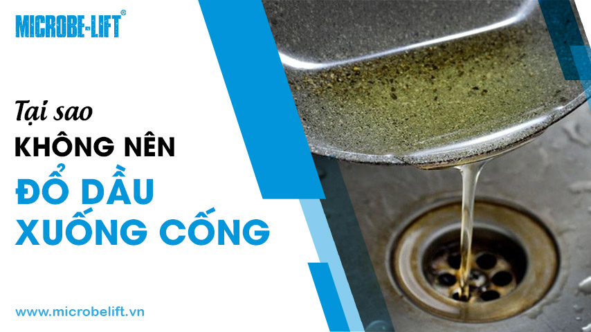 Tại sao không nên đổ dầu xuống cống?