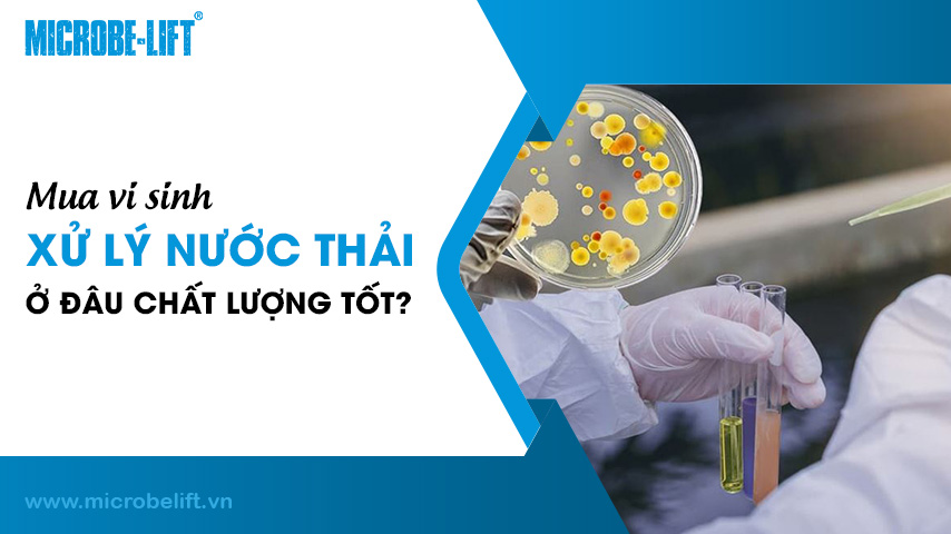 Mua vi sinh xử lý nước thải ở đâu chất lượng tốt?