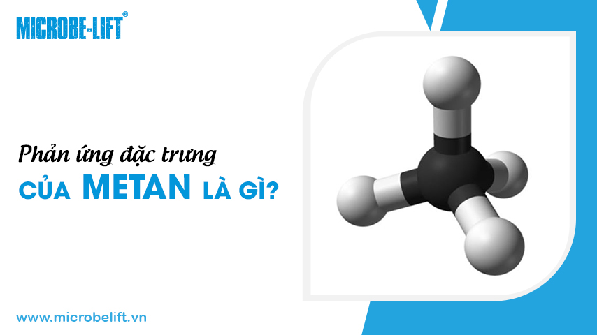 Phản ứng đặc trưng của Metan là gì?