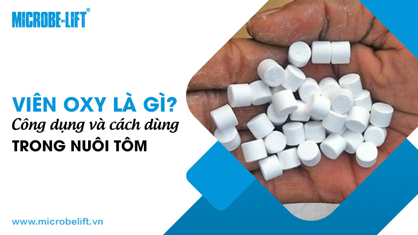 Viên oxy là gì? Công dụng và cách dùng trong nuôi tôm