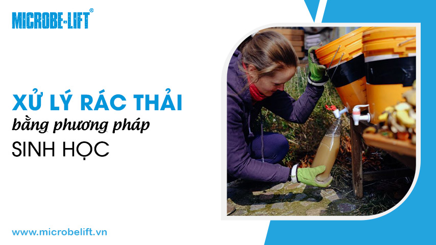 Xử lý rác thải bằng phương pháp sinh học