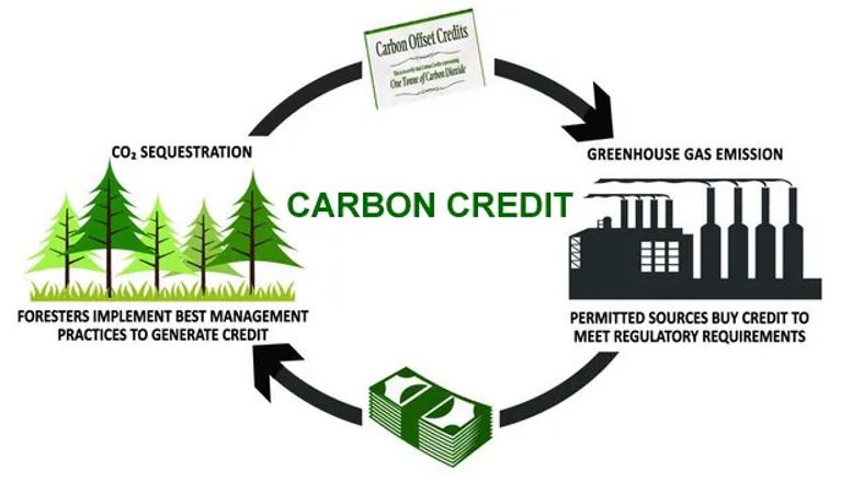 Tìm hiểu về hoạt động mua bán tín chỉ Carbon