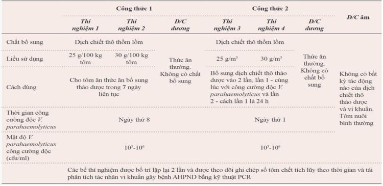 Cây thồm lồm: Thảo dược phòng trị bệnh AHPND cho tôm