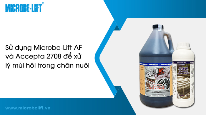 Mức độ ô nhiễm không khí ở TP.HCM