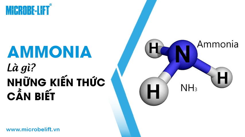 Ammonia là gì? Những kiến thức cần biết