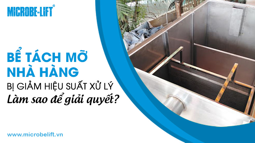 Bể tách mỡ nhà hàng bị giảm hiệu suất xử lý, làm sao để giải quyết?