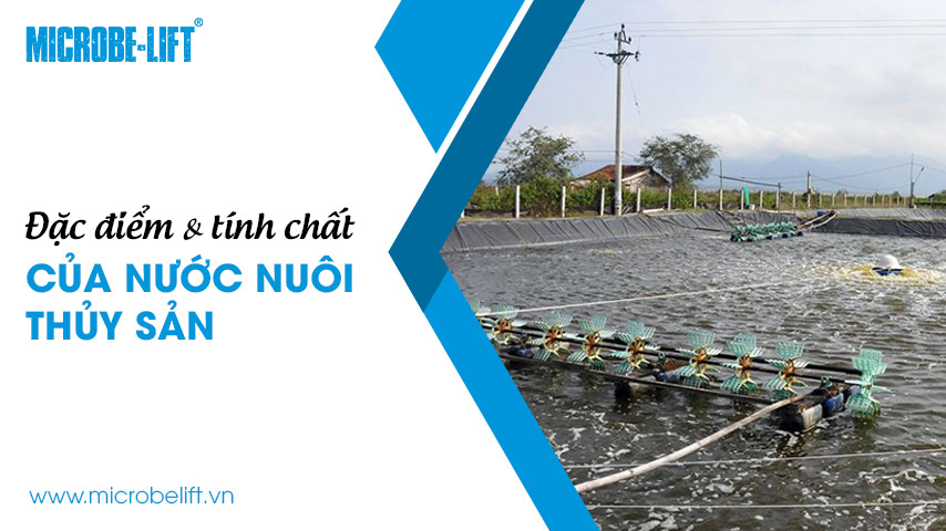 Đặc điểm & tính chất của nước nuôi thủy sản