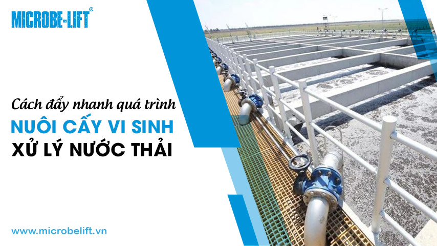 Cách đẩy nhanh quá trình nuôi cấy vi sinh xử lý nước thải