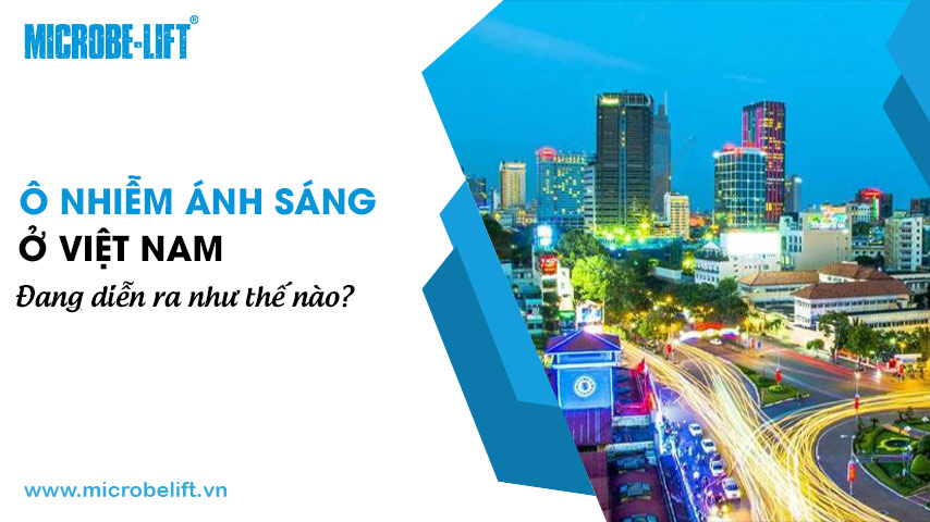 Ô nhiễm ánh sáng ở Việt Nam đang diễn ra như thế nào?