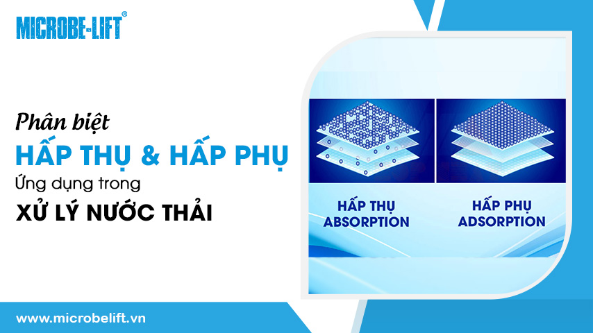 Phân biệt hấp thụ và hấp phụ. Ứng dụng trong xử lý nước thải