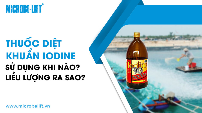 Thuốc diệt khuẩn Iodine: Sử dụng khi nào? Liều lượng ra sao?