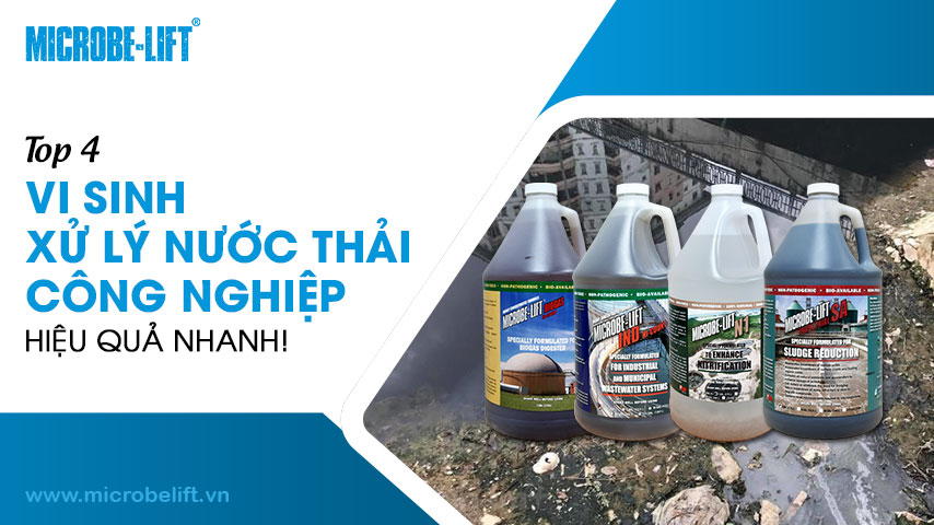 Top 4 vi sinh xử lý nước thải công nghiệp hiệu quả nhanh!