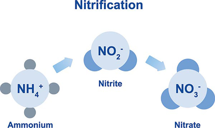 Chỉ tiêu tổng Nitơ có khó xử lý để nước thải đạt chuẩn?