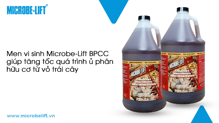 Tận dụng bã trái cây sau khi ép để làm phân hữu cơ