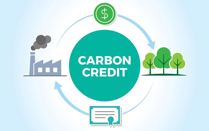 Tìm hiểu về tín chỉ Carbon (Carbon Credit)