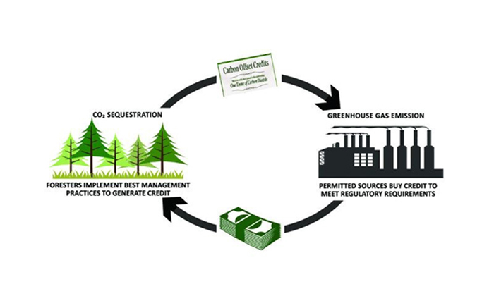 Tìm hiểu về tín chỉ Carbon (Carbon Credit)