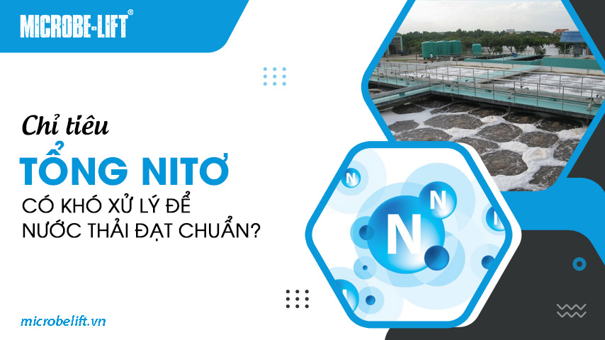 Chỉ tiêu tổng Nitơ có khó xử lý để nước thải đạt chuẩn?