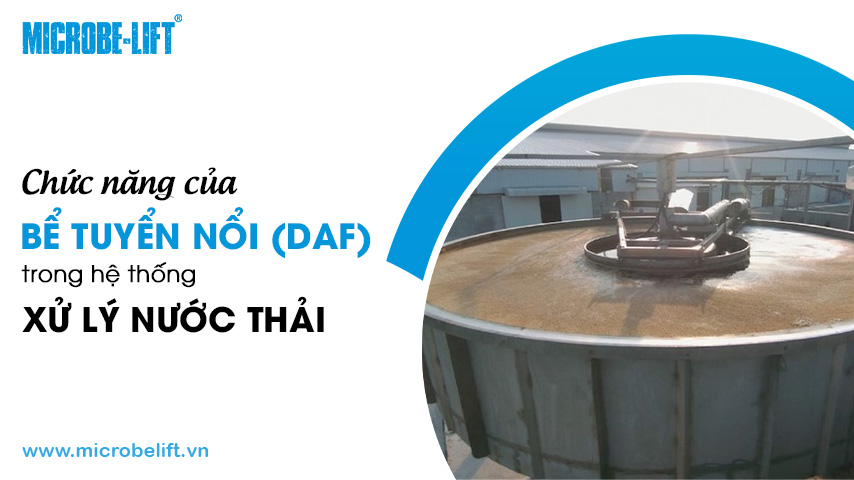 Chức năng của bể tuyển nổi (DAF) trong hệ thống xử lý nước thải