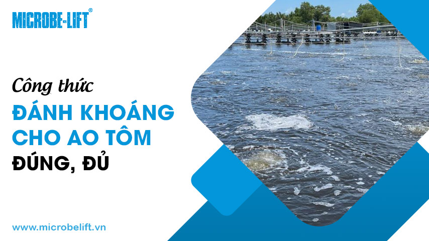 Công thức đánh khoáng cho ao tôm đúng, đủ