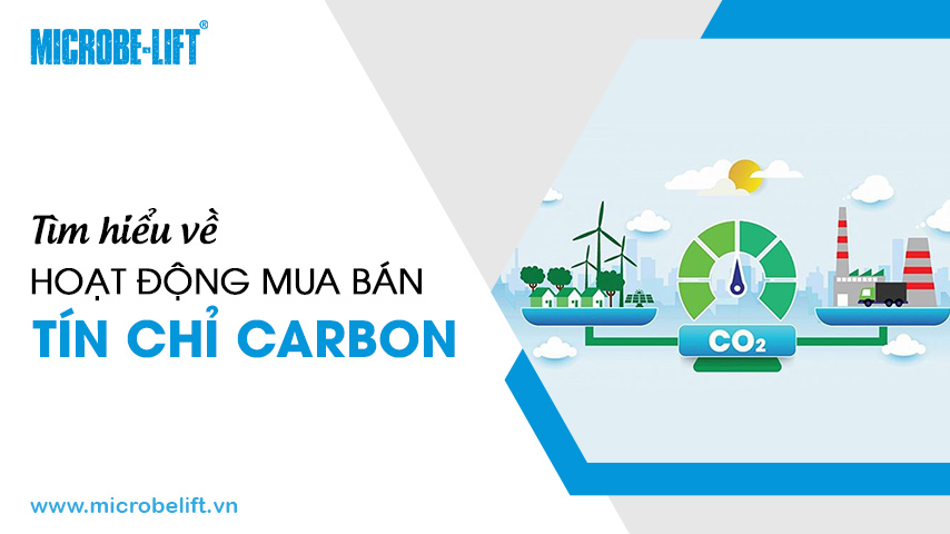 Tìm hiểu về hoạt động mua bán tín chỉ Carbon