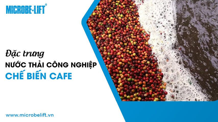 Đặc trưng nước thải công nghiệp chế biến cafe