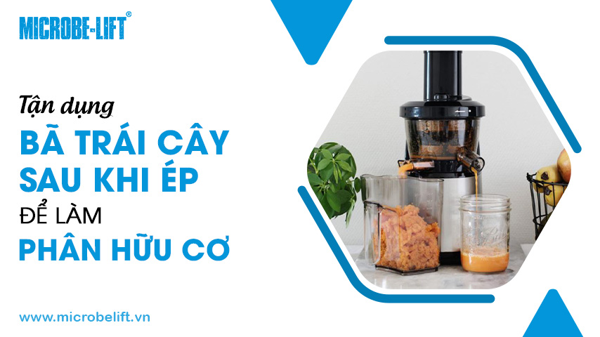 Tận dụng bã trái cây sau khi ép để làm phân hữu cơ