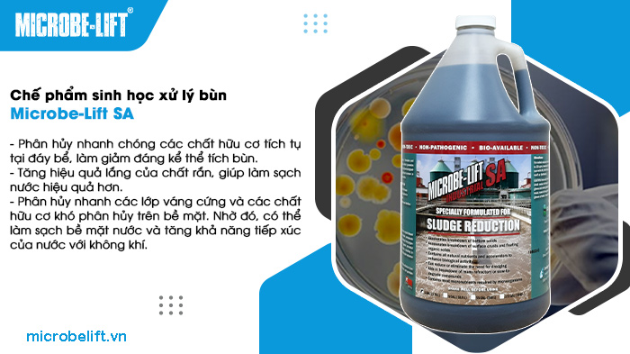 Chế phẩm sinh học là gì? Các loại phổ biến trong xử lý nước thải