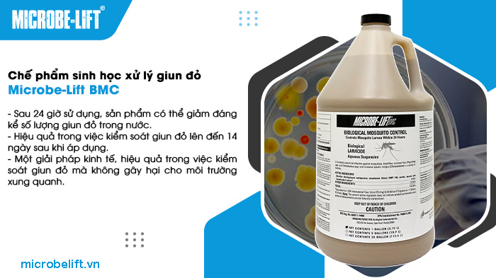 Chế phẩm sinh học là gì? Các loại phổ biến trong xử lý nước thải