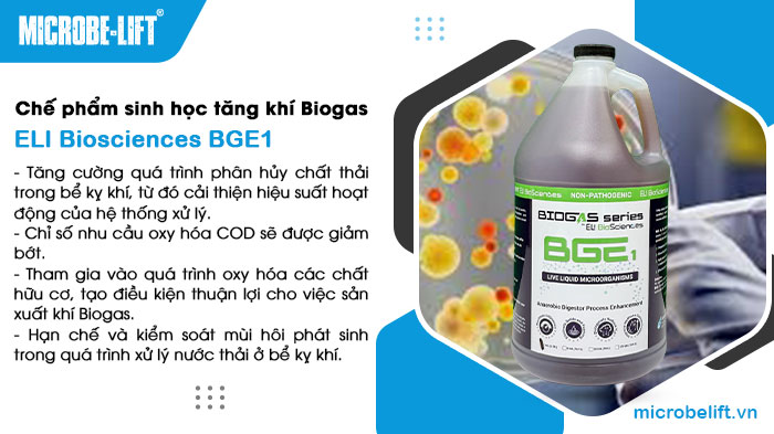 Chế phẩm sinh học là gì? Các loại phổ biến trong xử lý nước thải 09 che pham sinh hoc