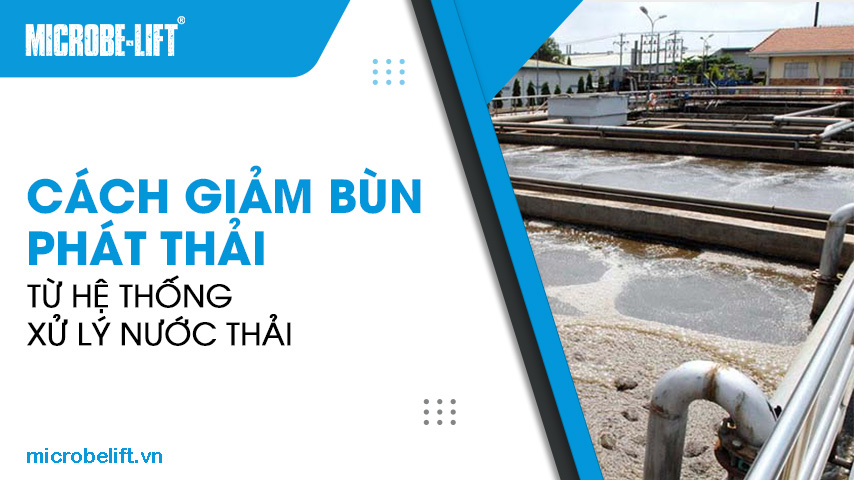 Cách giảm bùn phát thải từ hệ thống xử lý nước thải