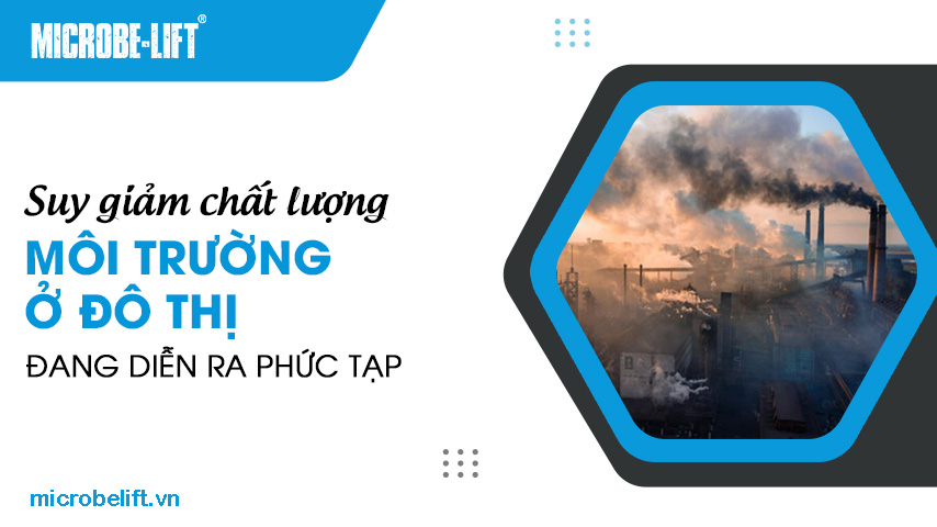 Suy giảm chất lượng môi trường ở đô thị đang diễn ra phức tạp