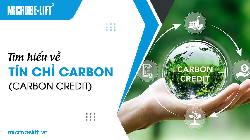 Tìm hiểu về tín chỉ Carbon (Carbon Credit)