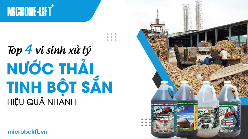 Top 4 vi sinh xử lý nước thải tinh bột sắn hiệu quả nhanh