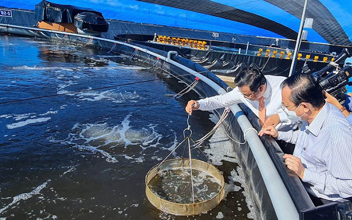 Tầm quan trọng của bảo vệ môi trường trong ngành nuôi trồng thủy sản