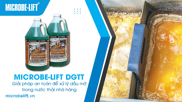 Xử lý dầu mỡ trong nước thải nhà hàng hiệu quả với Microbe-Lift DGTT