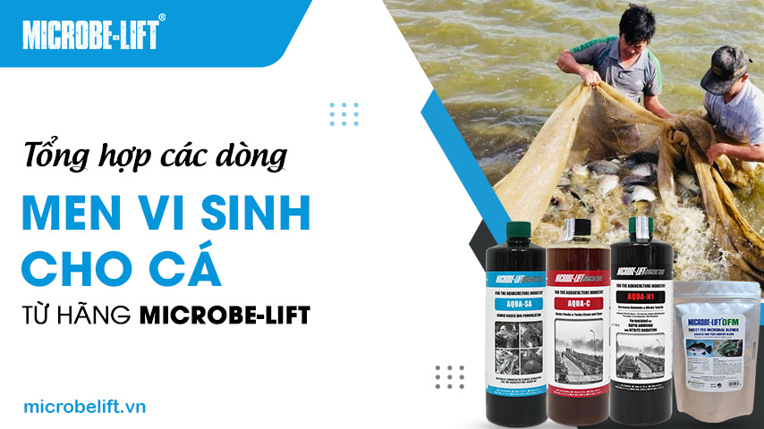 Tổng hợp các dòng men vi sinh cho cá từ hãng Microbe-Lift