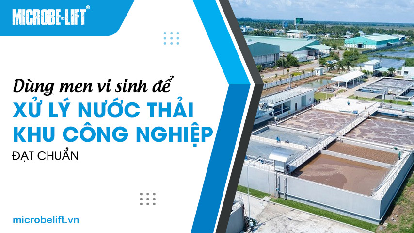 Dùng men vi sinh để xử lý nước thải khu công nghiệp đạt chuẩn