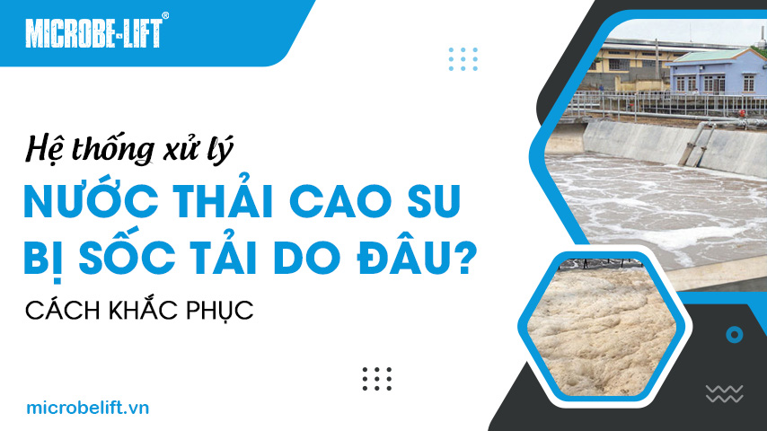 Hệ thống xử lý nước thải cao su bị sốc tải do đâu? Cách khắc phục