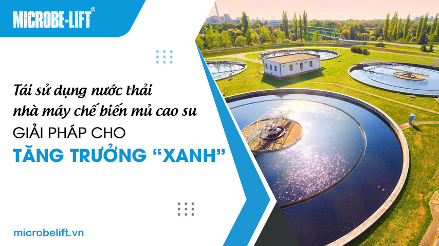 Xử lý và tái sử dụng nước thải nhà máy chế biến mủ cao su: Giải pháp cho tăng trưởng "xanh"